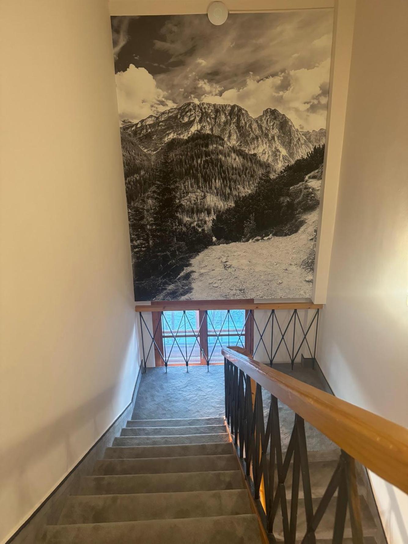 Willa Alta Bukowina Tatrzańska Esterno foto